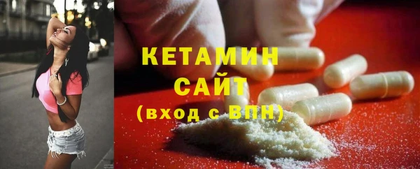 шишки Бородино