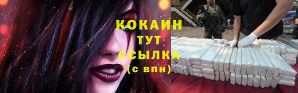 шишки Бородино