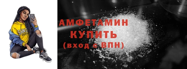 шишки Бородино