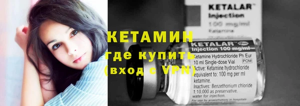 шишки Бородино