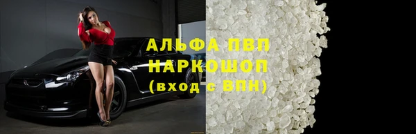 шишки Бородино