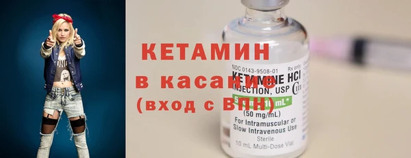шишки Бородино