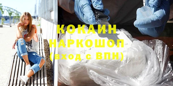 шишки Бородино