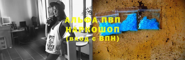 шишки Бородино
