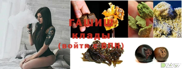 шишки Бородино