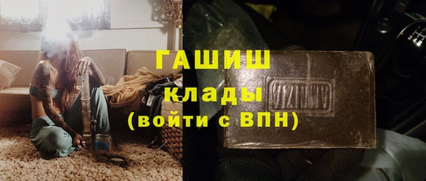 шишки Бородино