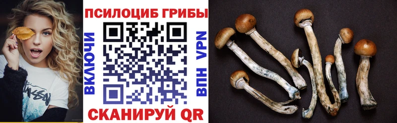 Галлюциногенные грибы ЛСД  купить  сайты  Кораблино 